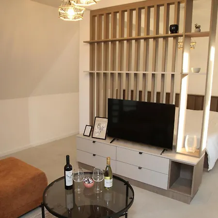 Apartment Z Kragujevac